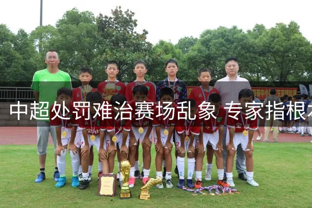 中超处罚难治赛场乱象 专家指根本问题待解